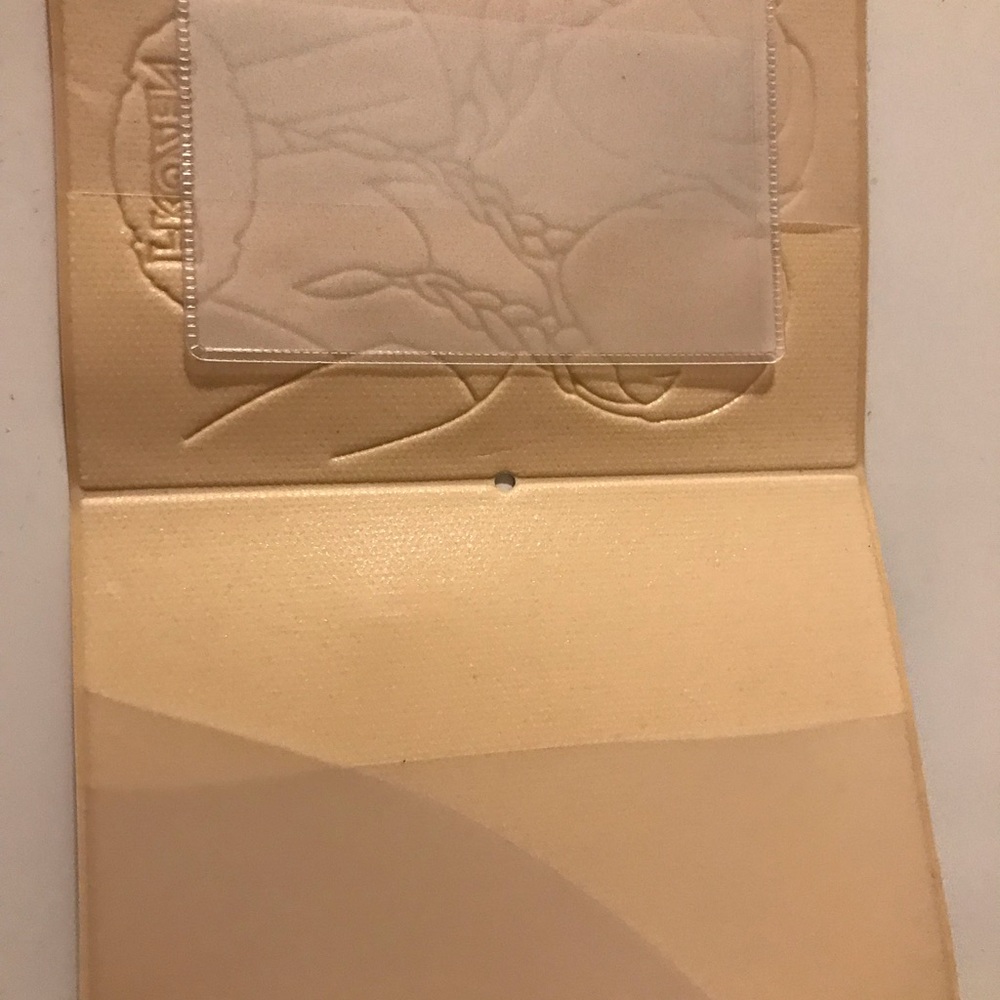 Disney Frozen passpory holder